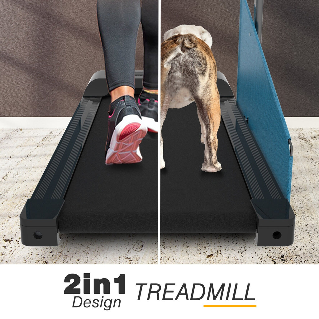 Dog Treadmill with LED Display