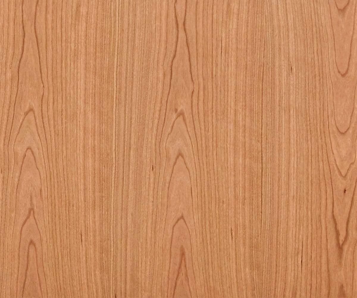 Baptisia 79 Media Stand