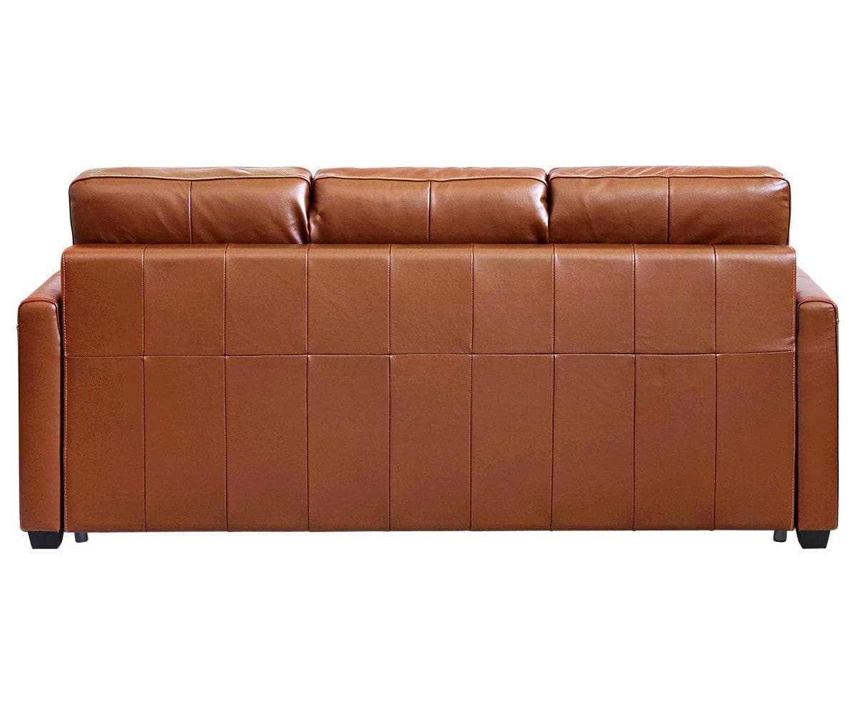 Jonas Leather Queen Sleeper Sofa