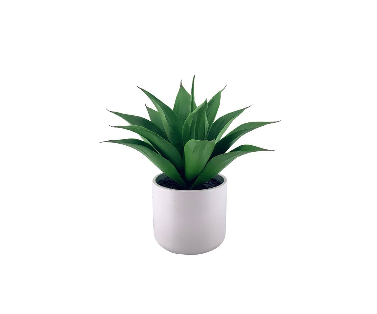Faux Mini Agave Plant
