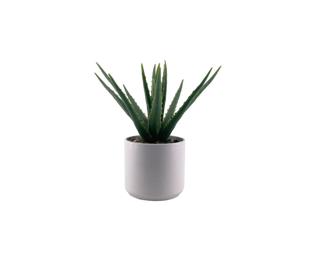 Faux Potted Aloe