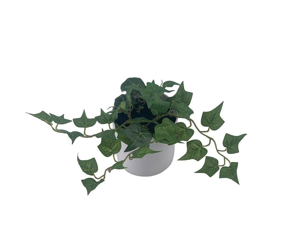 Faux Potted Ivy